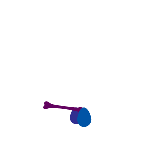 Tam so abo!'s emblem