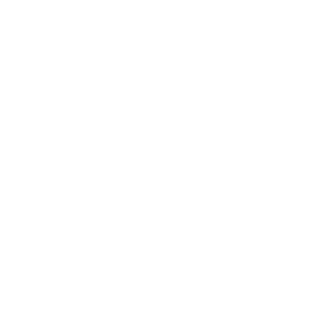 ZJY-JoeY's emblem
