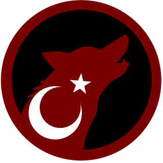 PunisherFalconTR's emblem