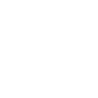 im96theruler's emblem
