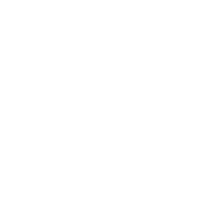NamiN0Ri's emblem
