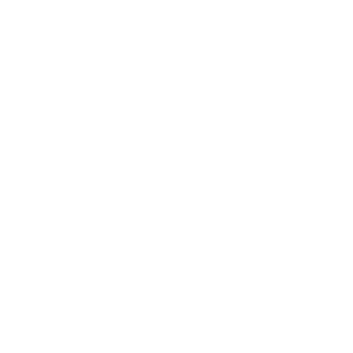 Leandrovisck's emblem