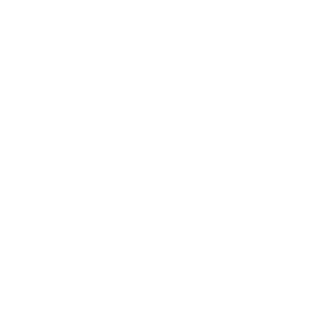 AlanAndres's emblem
