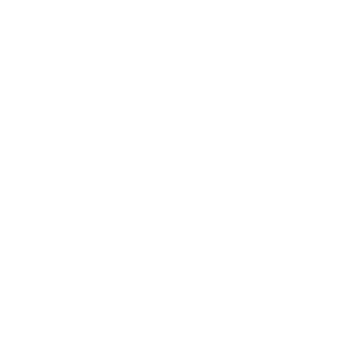 Furia-vni-ES's emblem