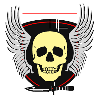 DeLuXe-SportS's emblem