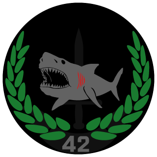 VGFortyTwo's emblem