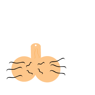 Big snop squad's emblem
