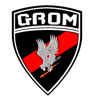 92Raven's emblem