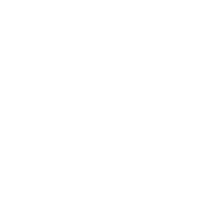 Lieutenant_Dan89's emblem
