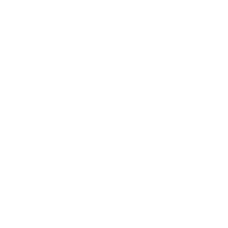 carlitosway2509's emblem