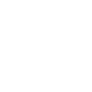 NYX ValKyR1e's emblem
