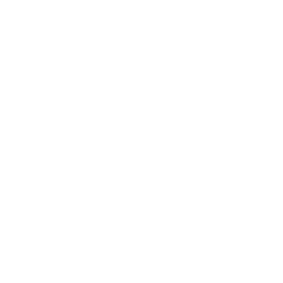543c0ea06c9846e2's emblem