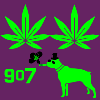 DontStressBrah's emblem
