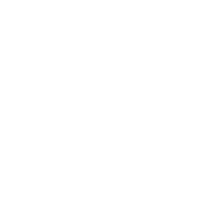 hwkgod's emblem