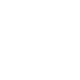 ElsRus's emblem