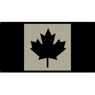 Ronin6x's emblem