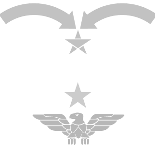 Glitch_PL's emblem