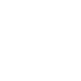 1sm01's emblem