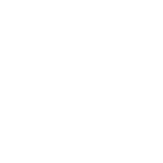 0ldZhao's emblem