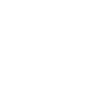 ACiD-2D's emblem