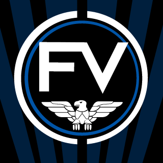 FineVisionzz's emblem