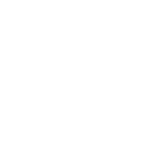 vivibet's emblem