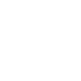 IP4113's emblem
