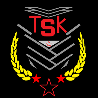 -TSK-lEiML's emblem