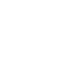 nikbird12's emblem