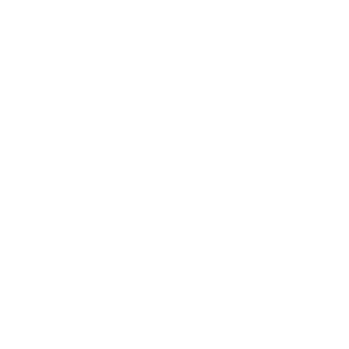 ndloner's emblem