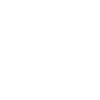 lHavikl's emblem