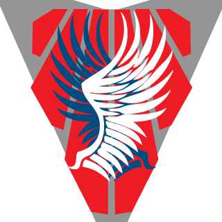 _PUNii5H3R_'s emblem