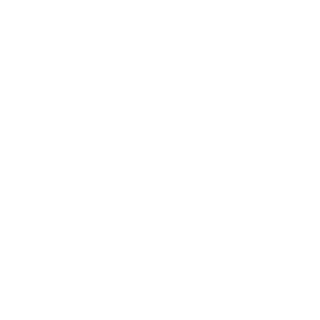 Ionewolf19's emblem