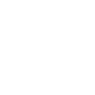 SaberRed6's emblem