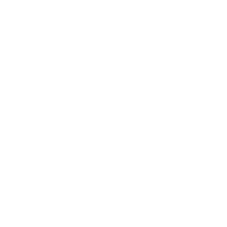 ROGAX19's emblem