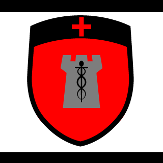 RixinIsSmart's emblem