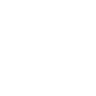 Snake-USN's emblem