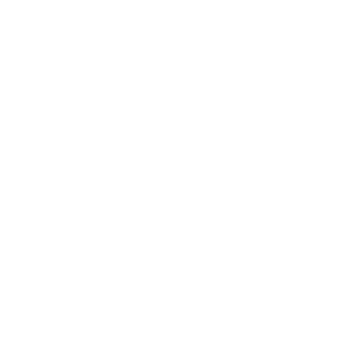Rauler666's emblem