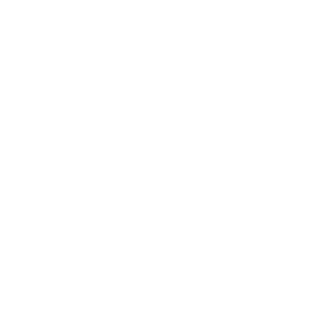 nzfalcon's emblem