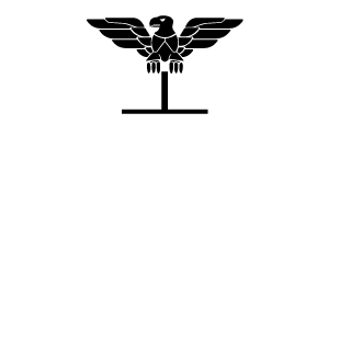 Stgrt21's emblem