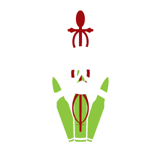 00x101vz's emblem