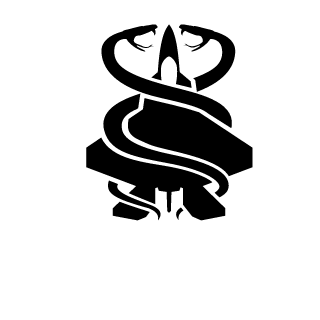 cipher_DLRT's emblem