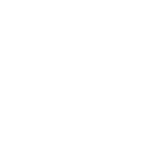 VeniceUnleashed's emblem