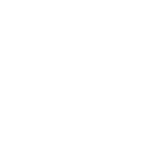 Roche193's emblem