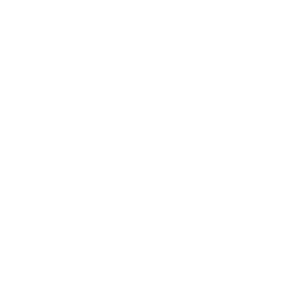 Vostriko20's emblem