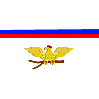 CeilingWalker's emblem