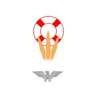 badazzvic2's emblem