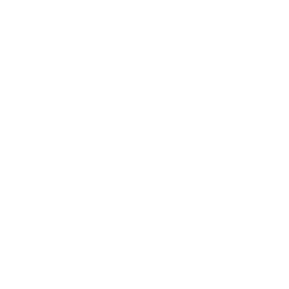 9999991sss's emblem
