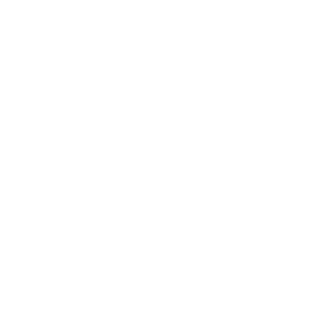 LTNZIN1's emblem