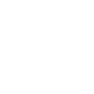 Spacesteve's emblem